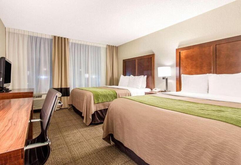 Suite, Comfort Inn & Suites Omaha Central