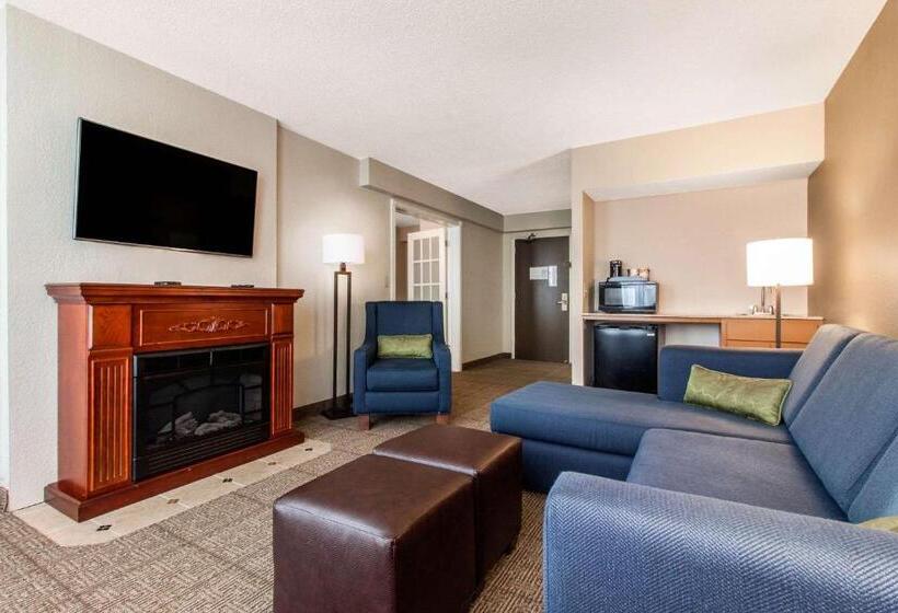 سوئیت با تخت بزرگ, Comfort Inn & Suites Omaha Central