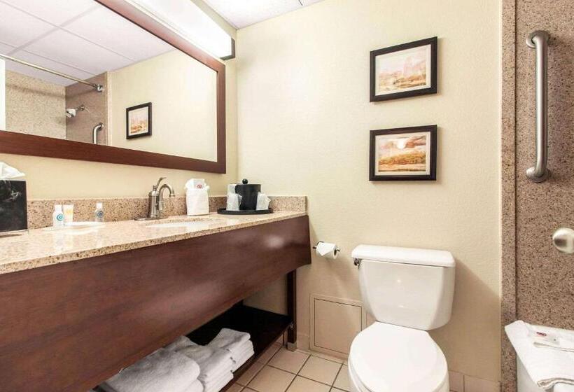 سوییت, Comfort Inn & Suites Omaha Central