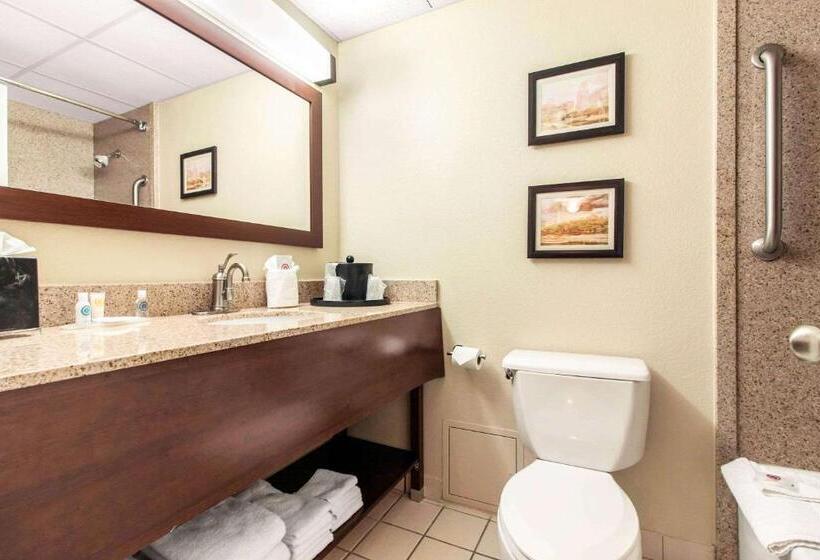 Suite, Comfort Inn & Suites Omaha Central