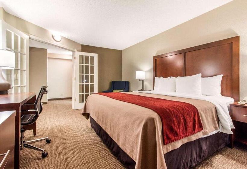 Suite King Bed, Comfort Inn & Suites Omaha Central