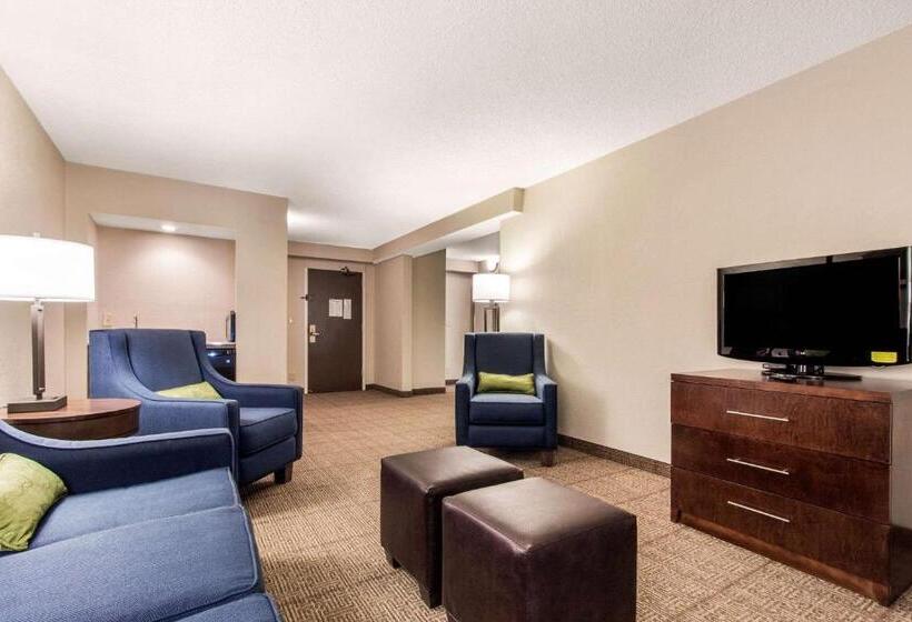 Suite King Bed, Comfort Inn & Suites Omaha Central