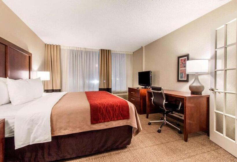 Suite Llit King, Comfort Inn & Suites Omaha Central