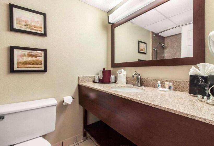سوئیت با تخت بزرگ, Comfort Inn & Suites Omaha Central