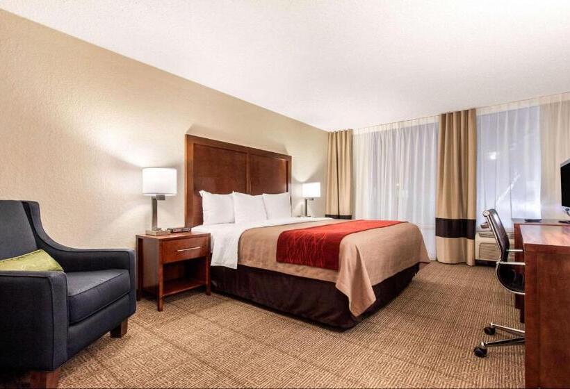 سوئیت با تخت بزرگ, Comfort Inn & Suites Omaha Central