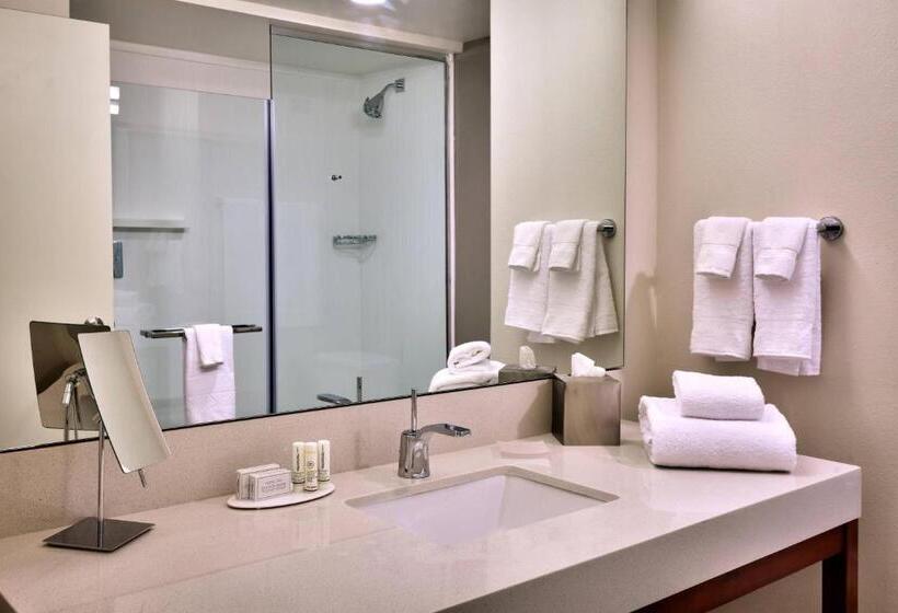 اتاق استاندارد با تخت بزرگ, Courtyard By Marriott Ogden