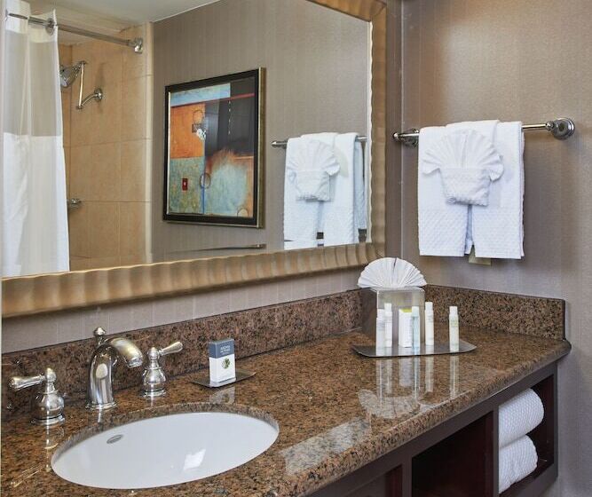اتاق استاندارد با 2 تخت دوبل, Doubletree By Hilton Dallas   Market Center