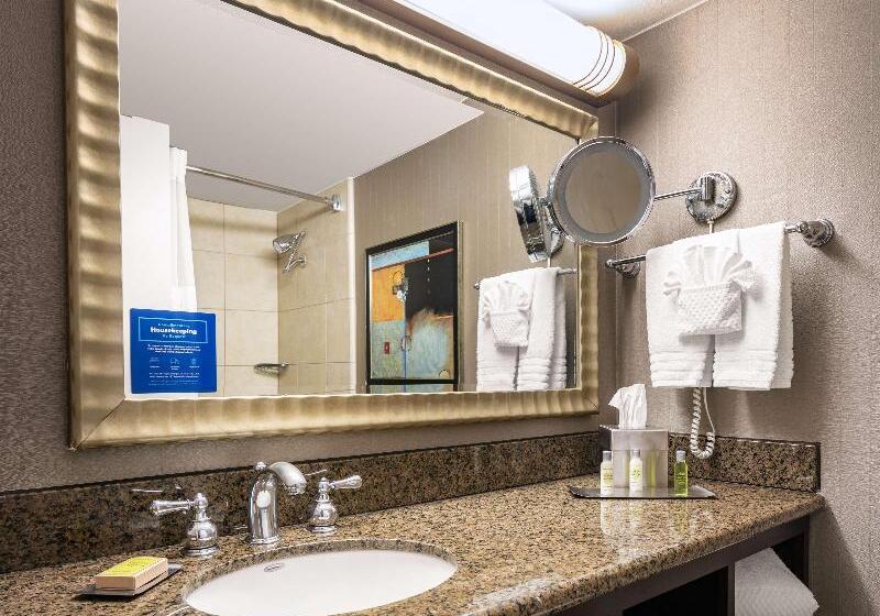 اتاق استاندارد با بالکن, Doubletree By Hilton Dallas   Market Center