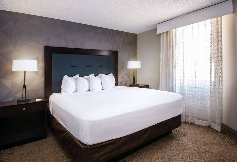 Suite Adapted for people with reduced mobility, Embassy Suites By Hilton Tucson East