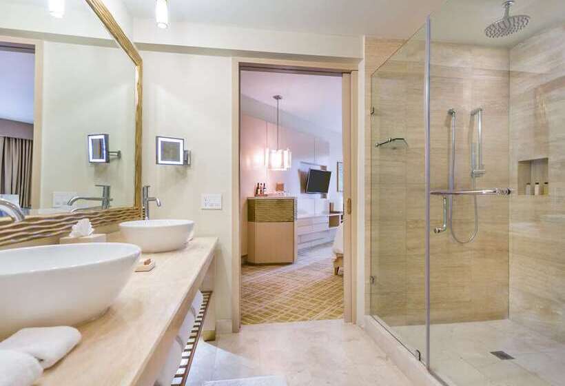 اتاق لوکس, Hilton Arlington