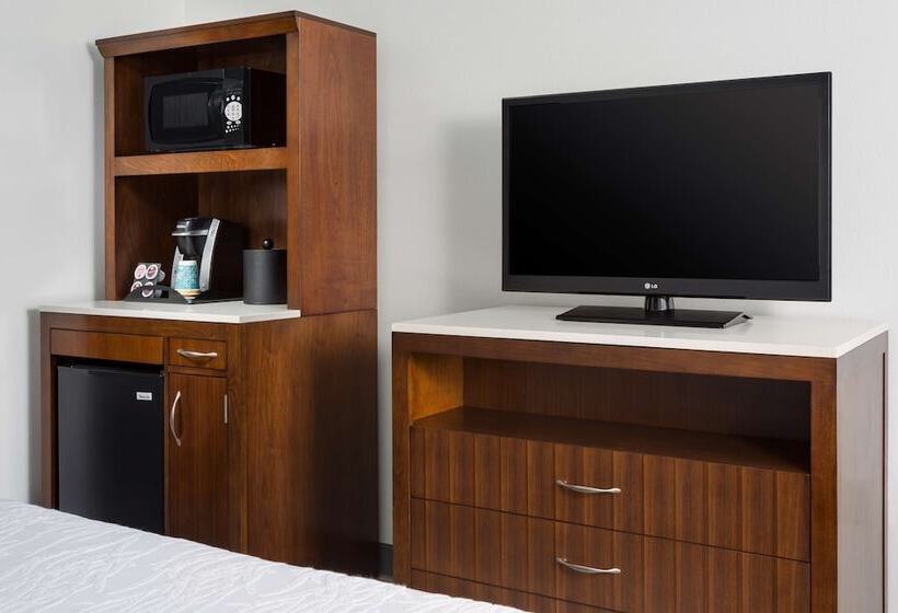 اتاق استاندارد با تخت دوبل, Hilton Garden Inn Key West / The Keys Collection