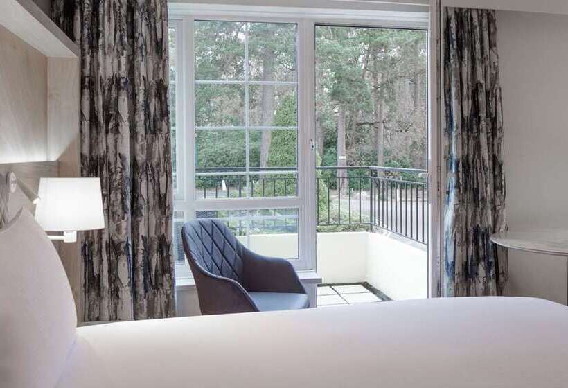 اتاق استاندارد با تخت بزرگ, Hilton Oakland Airport
