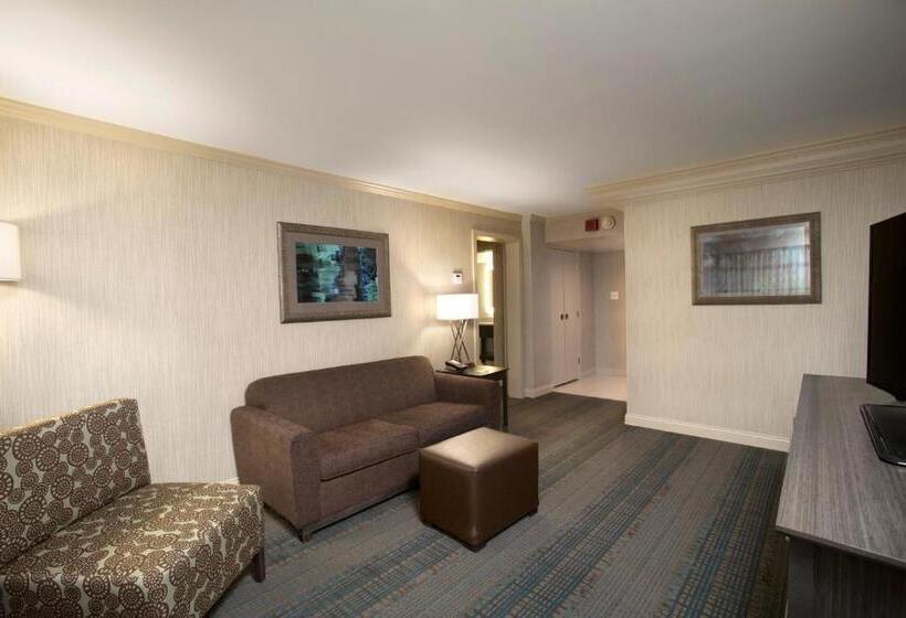 سوئیت با تخت بزرگ, Holiday Inn Columbus Dwtn Capitol Square, An Ihg