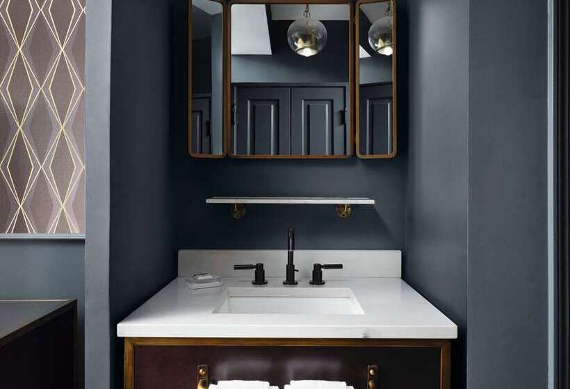 اتاق عادی, Phillips Kansas City Curio Collection By Hilton