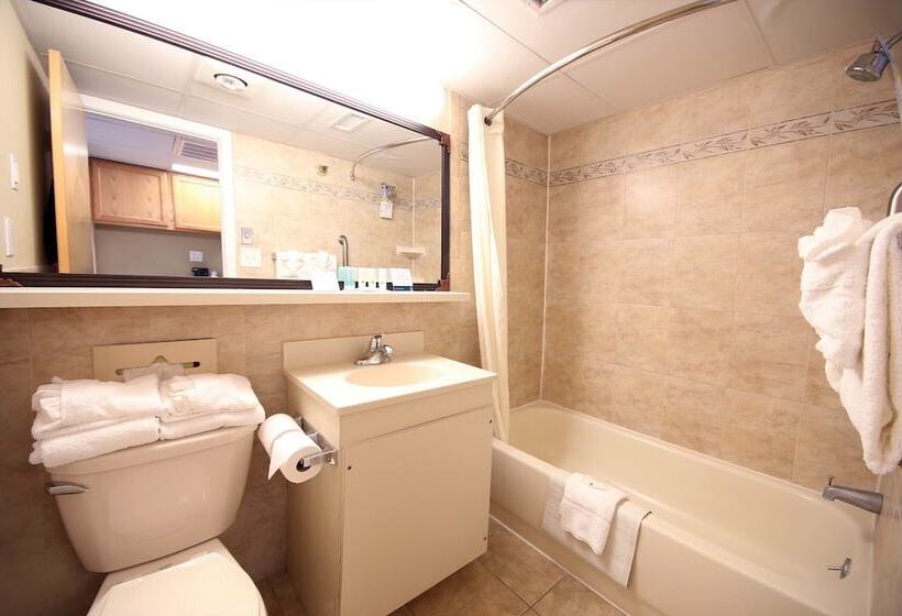 اتاق استاندارد, Quality Inn Oceanfront