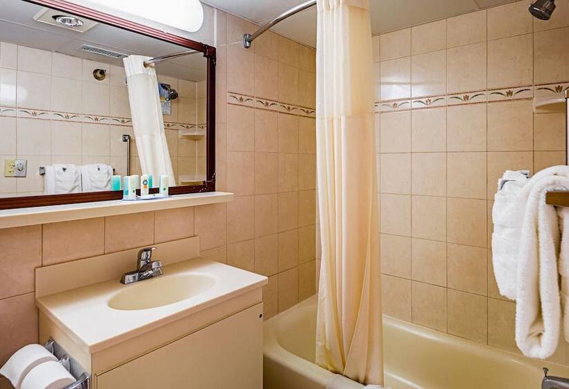 اتاق استاندارد, Quality Inn Oceanfront