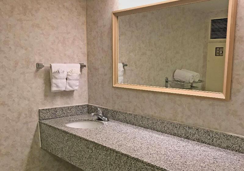 اتاق استاندارد با تخت بزرگ, Red Lion Hotel Rosslyn Iwo Jima