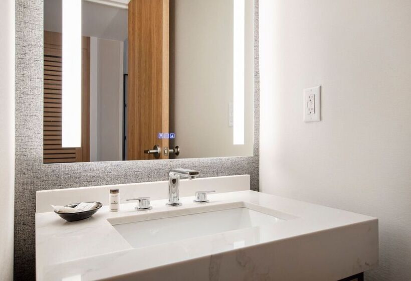اتاق استاندارد با تخت دوبل, Sheraton Chapel Hill