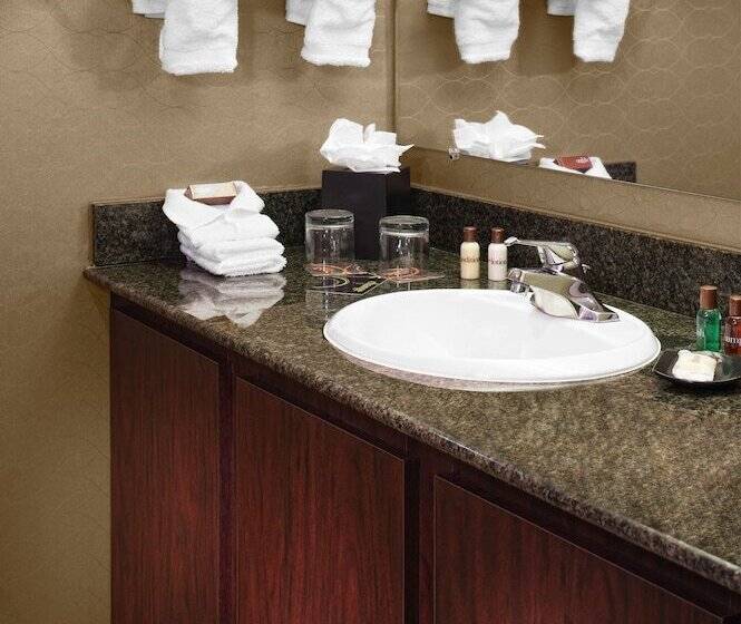 سوییت اجرایی, Sheraton Detroit Metro Airport