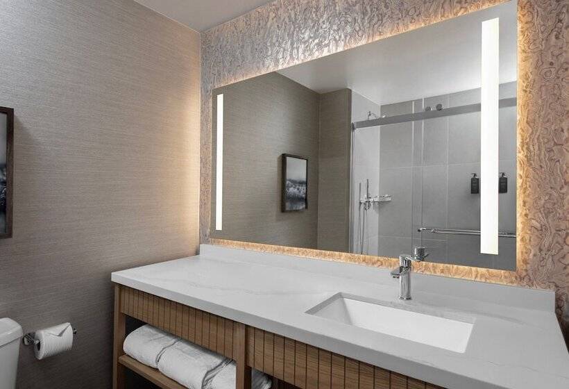اتاق لوکس با چشم‌انداز, Sheraton San Diego Resort