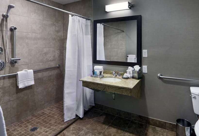 اتاق استاندارد, Tapestry By Hilton The Peery Salt Lake City Downtown, Ut
