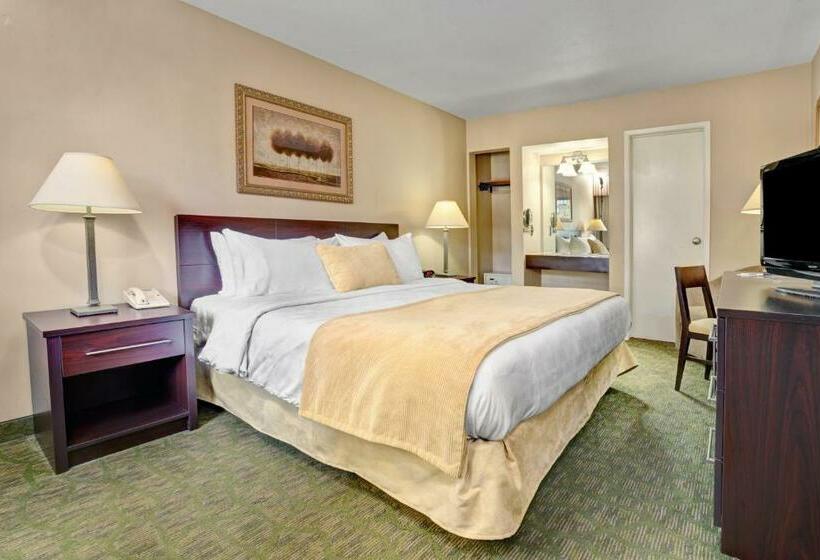 اتاق استاندارد با تخت بزرگ, Travelodge By Wyndham Presidio San Francisco