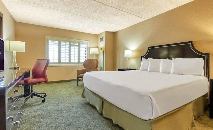 Classic Room, Tropicana Laughlin