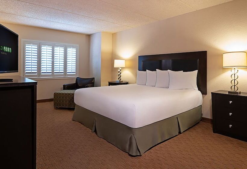 Deluxe Room, Tropicana Laughlin