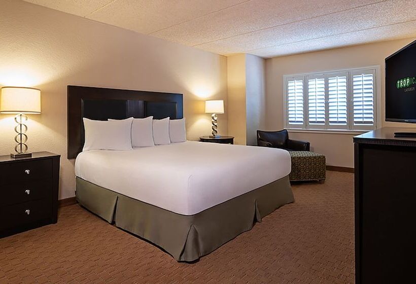 Deluxe Room, Tropicana Laughlin