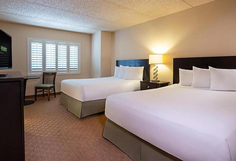 Deluxe Room, Tropicana Laughlin