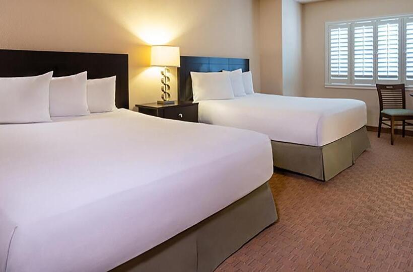 Deluxe Room, Tropicana Laughlin