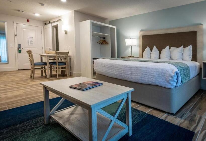 Suite Cama King, Palmera Inn & Suites