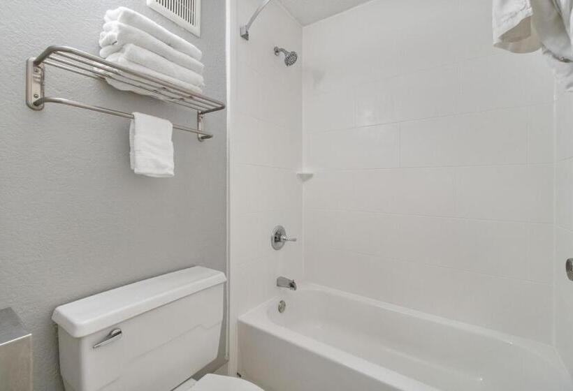 اتاق استاندارد با چشم‌انداز استخر, Beachfront Palms Hotel Galveston