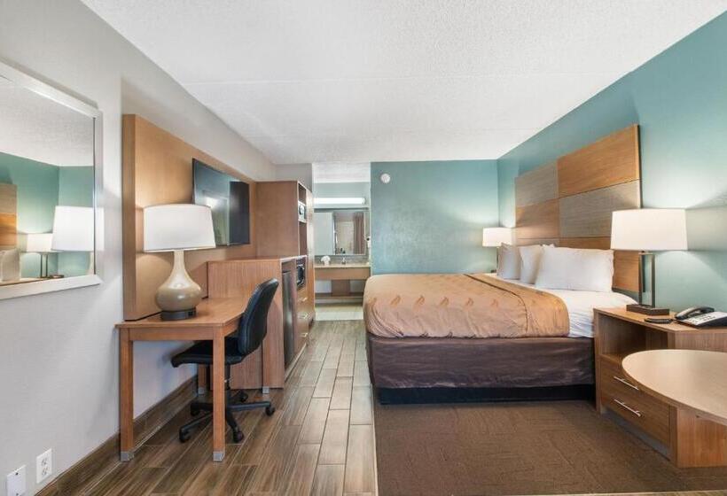 اتاق استاندارد با تخت بزرگ, Beachfront Palms Hotel Galveston