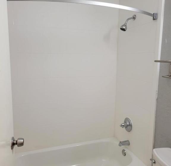 اتاق استاندارد, Beachfront Palms Hotel Galveston