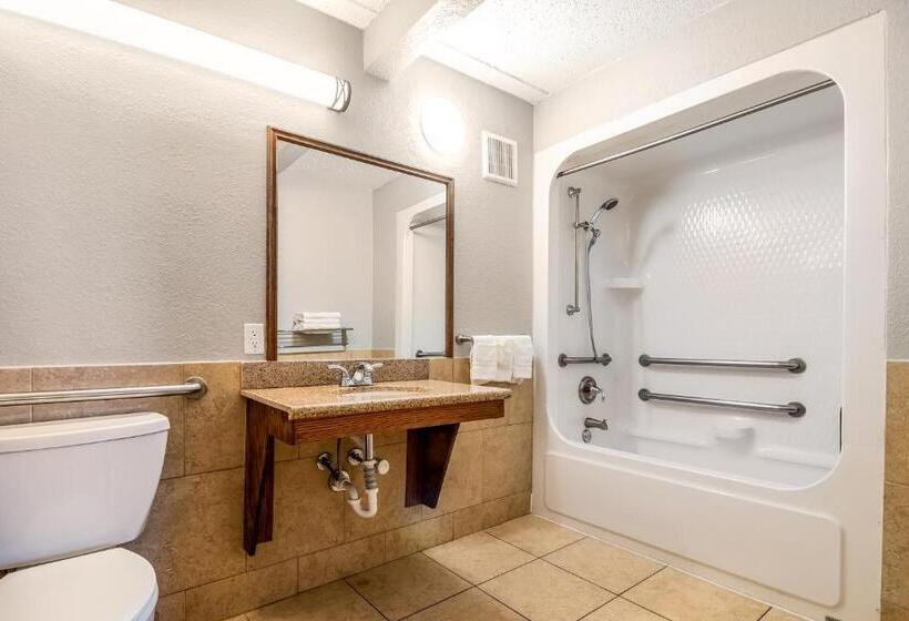 اتاق استاندارد برای معلولان, Beachfront Palms Hotel Galveston