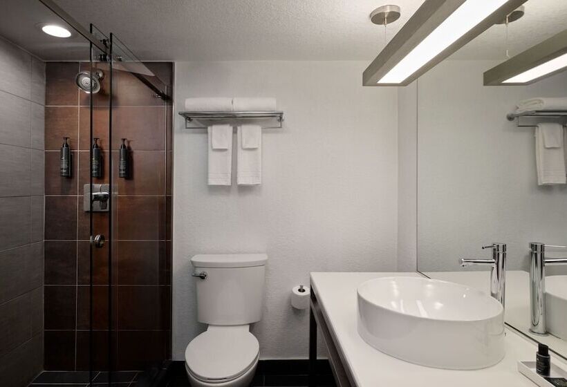 اتاق استاندارد با 2 تخت دوبل, Aloft Miami Dadeland