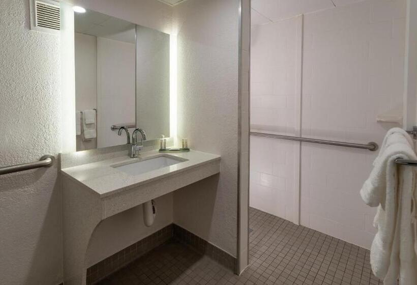 Chambre Standard Adaptée aux Personnes à Mobilité Réduite, Baymont By Wyndham White Plains  Elmsford