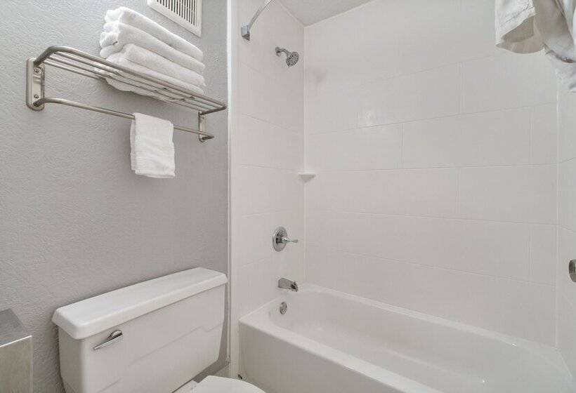اتاق اکونومی, Beachfront Palms Hotel Galveston