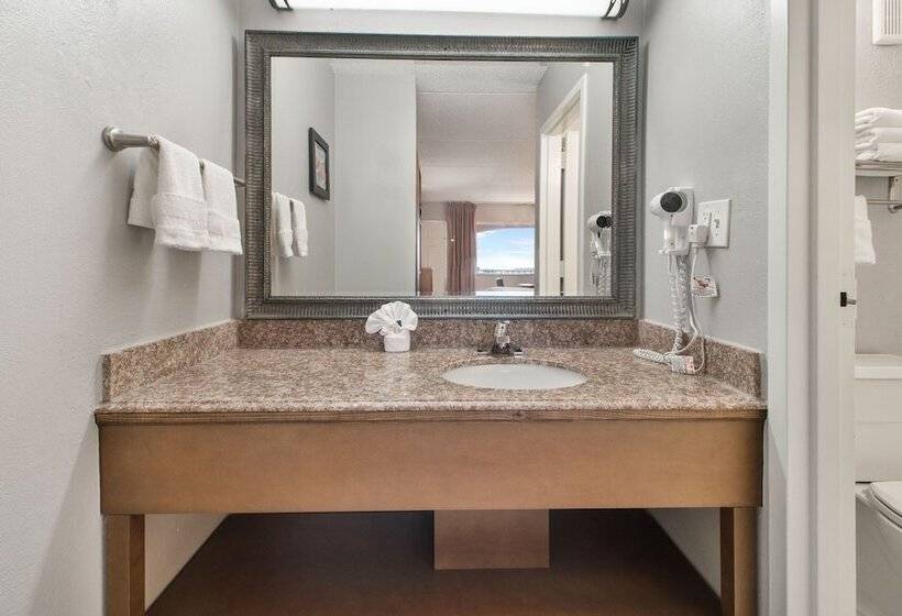 اتاق استاندارد با تخت بزرگ, Beachfront Palms Hotel Galveston