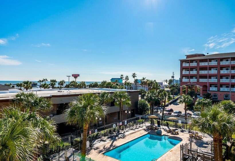 اتاق استاندارد با تخت بزرگ, Beachfront Palms Hotel Galveston