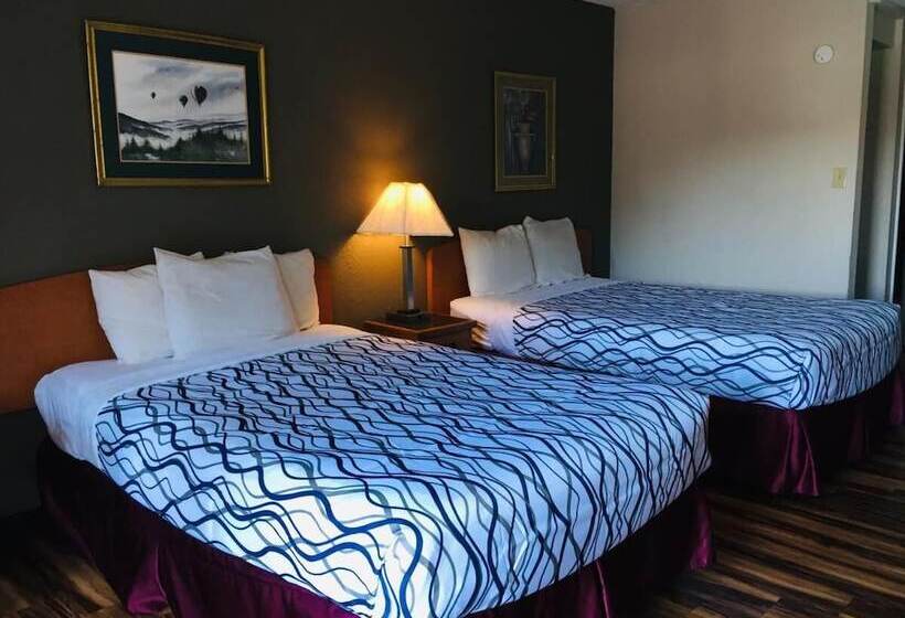 اتاق لوکس, Bear Mount Inn & Suites