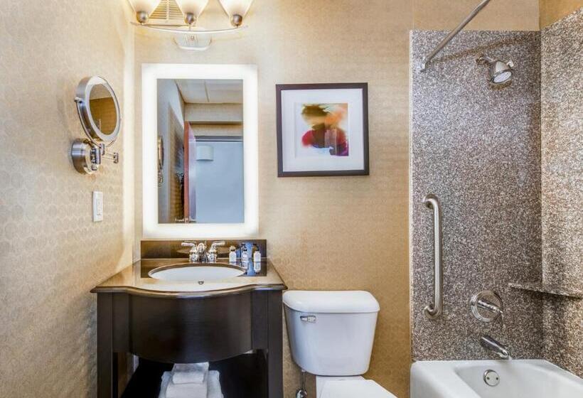 适合残疾人士使用的带超级大床的标准间, Crowne Plaza Milwaukee South, An Ihg