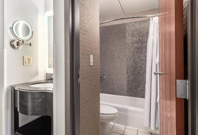 套房, Crowne Plaza Milwaukee South, An Ihg