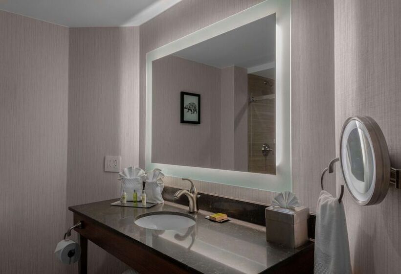 Deluxe Room Adapted for people with reduced mobility, Doubletree By Hilton Burlington Vermont