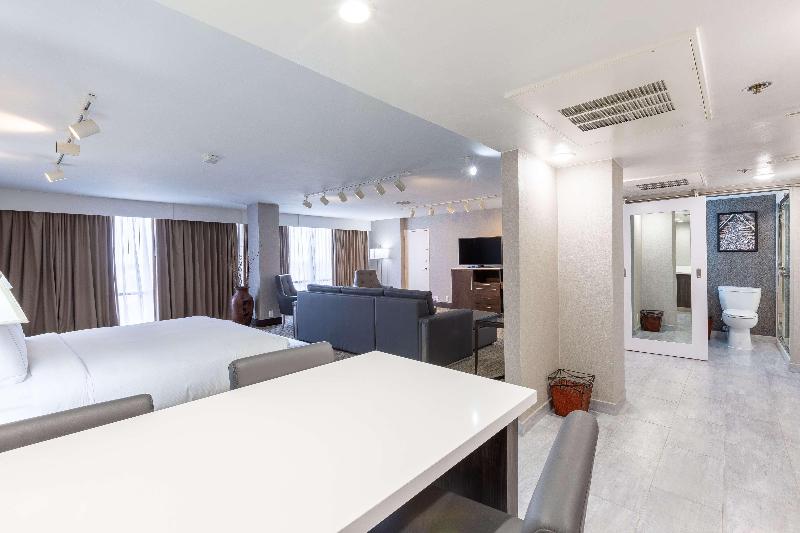 استودیو استاندارد با تخت کینگ, Doubletree By Hilton Dallas Richardson