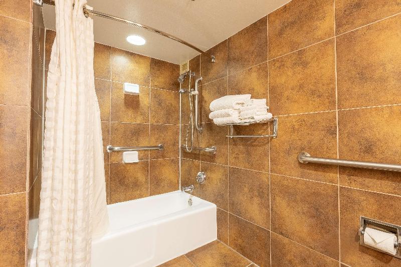 اتاق استاندارد, Doubletree By Hilton Dallas Richardson