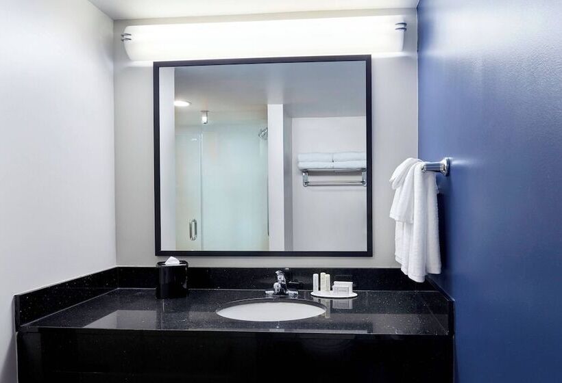 Süit, Fairfield Inn Suites Indianapolis Downtown