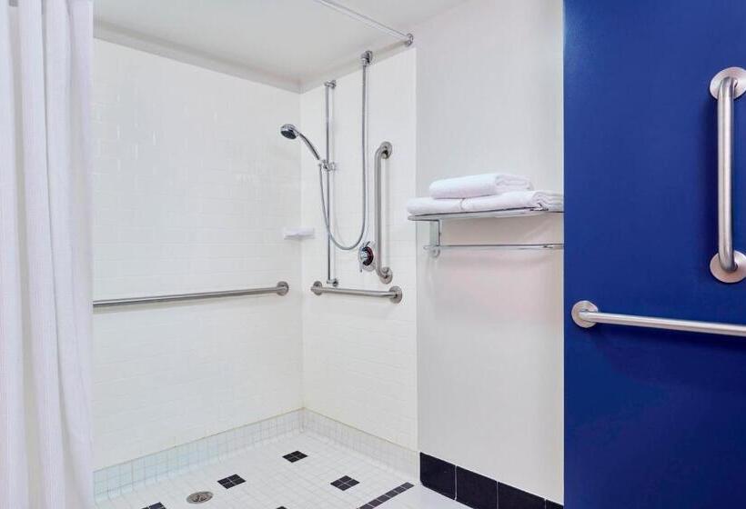 Büyük Çift Kişilik Yataklı Standart Oda, Fairfield Inn Suites Indianapolis Downtown