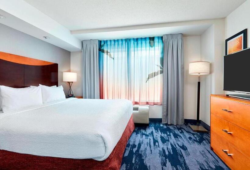 Büyük boy yataklı Standart Stüdyo, Fairfield Inn Suites Indianapolis Downtown